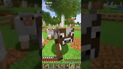 Minecraft 1.19 Survival Realms THE DEEP! New Server Fresh Start Java Edition PC SMP LP TikTok Gaming