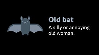 Slang: Old bat (meaning, examples, pronunciation)