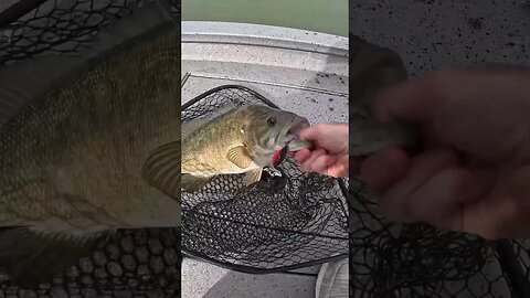 FIRST Cast Of The Day And THIS Happens!