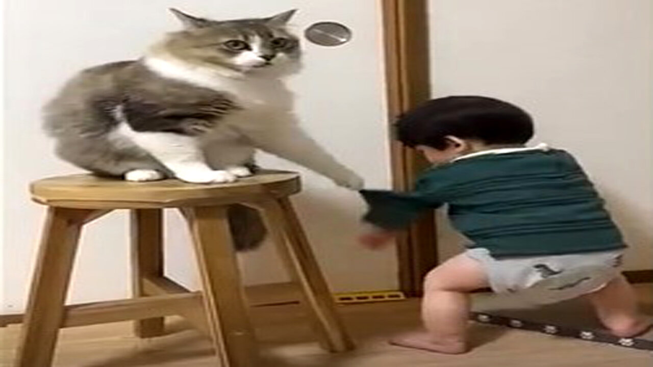 You Won’t Believe What This Cat Did For The Baby!