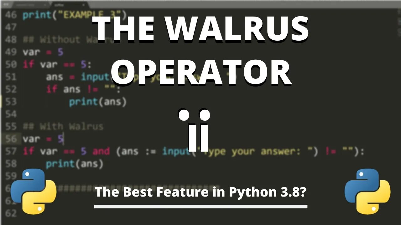 The Python Walrus Operator - New in Python 3.8