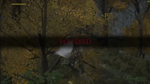 ELDEN RING Tree Climbing gone Wrong