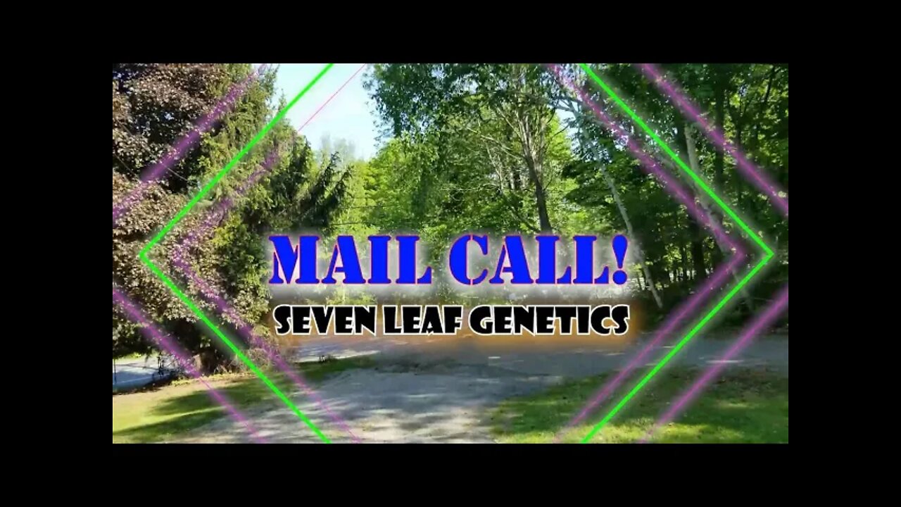 Mail Call! Run the Gauntlet Collect the Prize! Thanks To #TheBigKush @ #SEVENLEAFGENETICS #420 🔥⛽🦨💨🔨