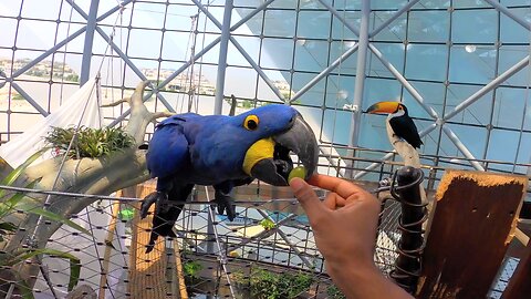 Indoor Rainforest - Green Planet Dubai