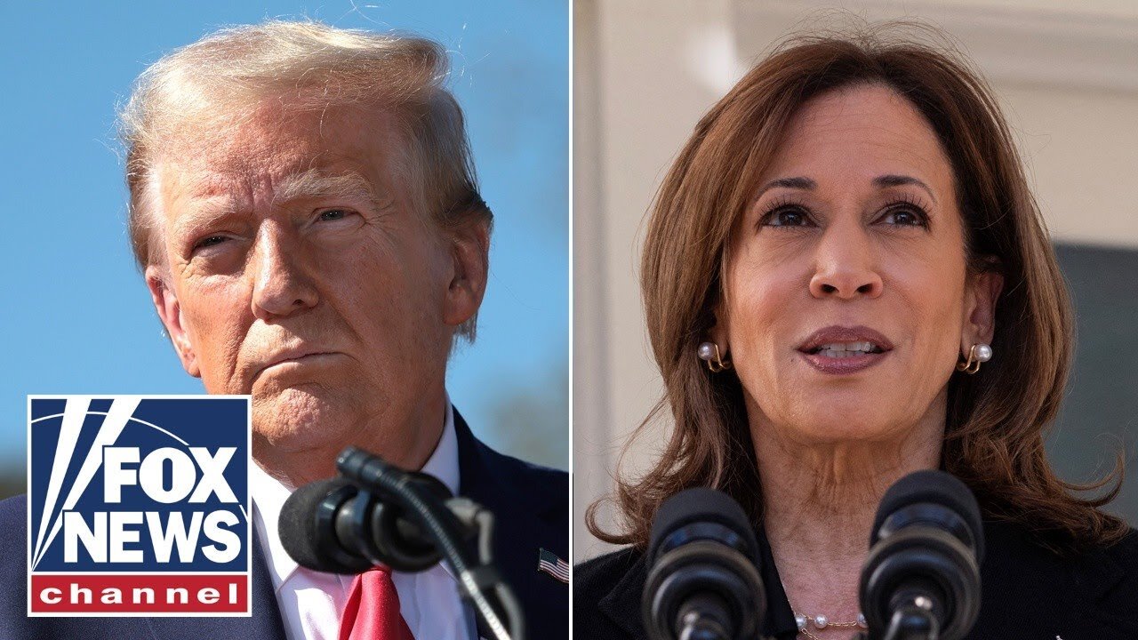 Trump, Harris fight for battleground states will come down to who can 'run up the margins'