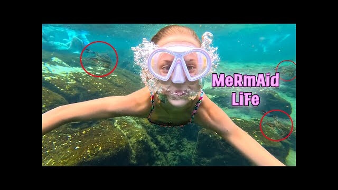 Our 10 year old DIVES DEEP into FREEZING water to search for CRABS!!