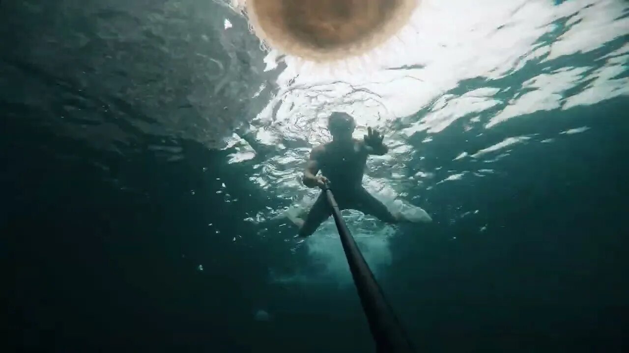 Getting stung by a massive Jelly Fish!!