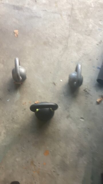 Average Florida Man Workout