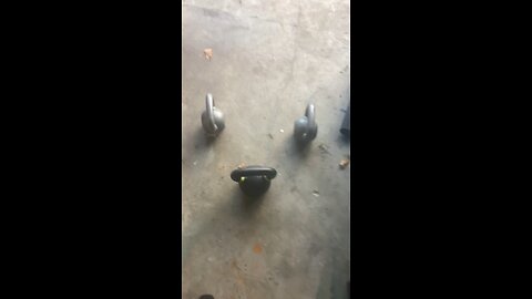 Average Florida Man Workout