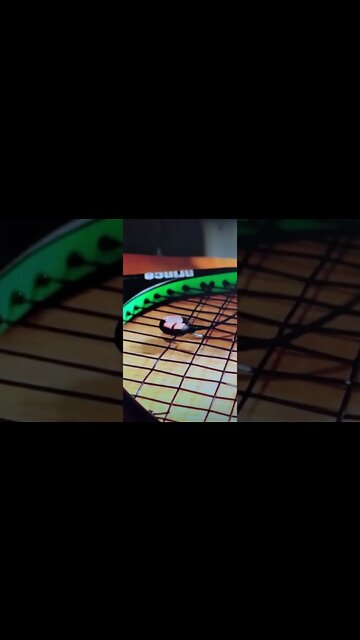 Tennis Vibration Dampener How To Never Lose It Again!