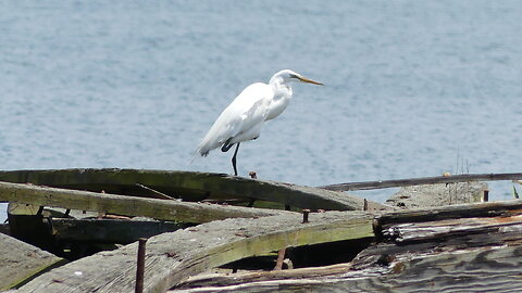 Soundview (Clason Point Park)