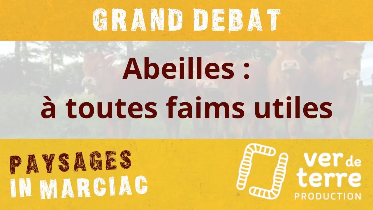 Grand débat "Abeilles : à toutes faims utiles"