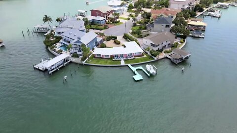 Tiki Bar Tours and Dolphins