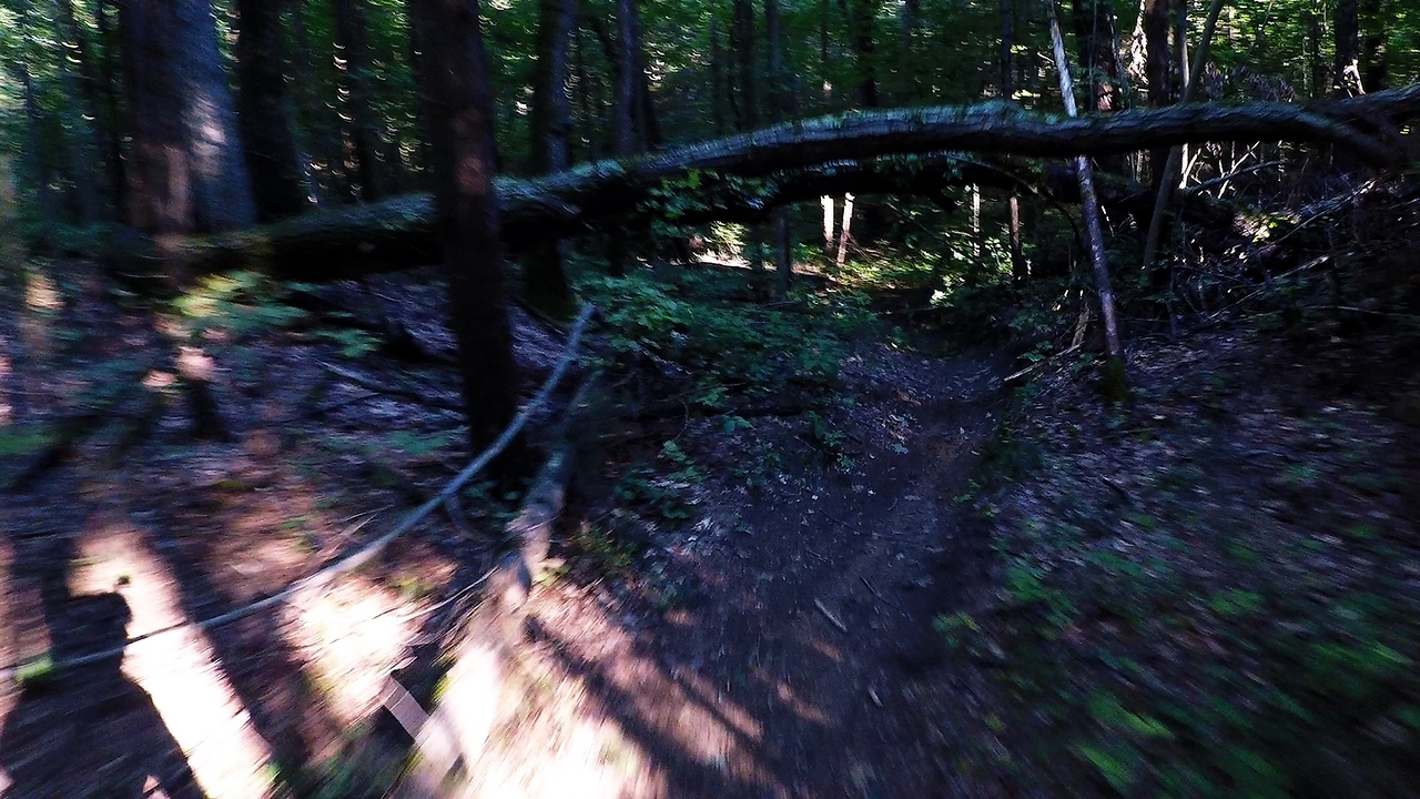 Thrilling downhill mountain bike ride ends in inevitable crash