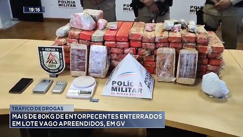 Tráfico de Drogas: Mais de 80 Kg de Entorpecentes Enterrados em Lote Vago Apreendidos, em GV.