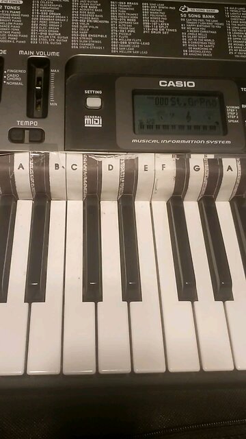 learning how to play the piano