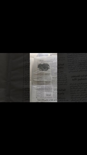 فوائد القرنفل للأسنان