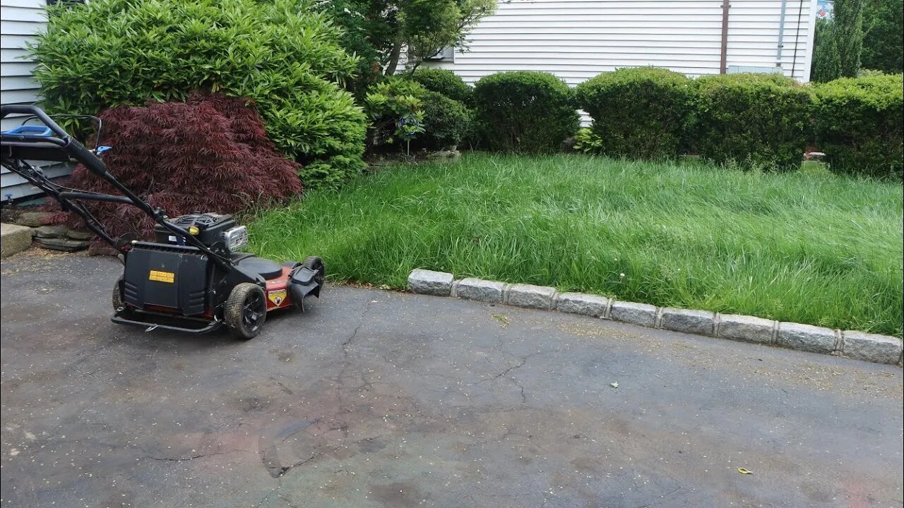 Long Island Lawncare Vlog12: Toro Timemaster Vs Overgrown Kentucky Tall 31 Grass FIRST CUT