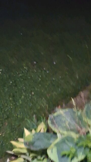 What kind of shit is this? 👀🧐🤔