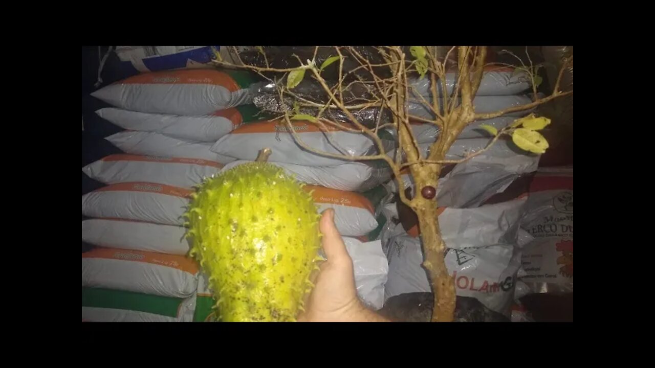 adubos e substratos para frutíferas e floriferras a venda em Niterói RJ