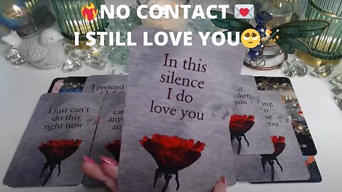 ❤️‍🔥NO CONTACT 💌📞EVEN WHEN I'M NOT W/YOU... I STILL LOVE YOU🥺✨💖COLLECTIVE LOVE TAROT READING ✨