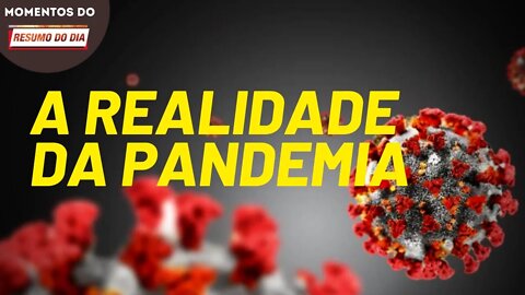 Dados da covid-19 no Brasil | Momentos do Resumo do Dia