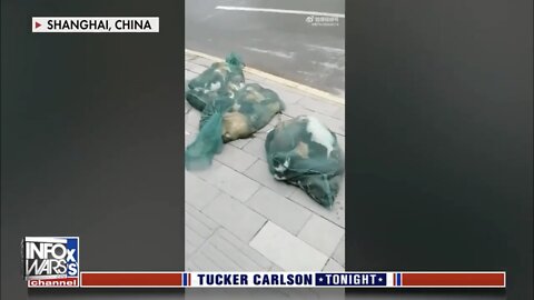 LOCK DOWN #2: HELL ON EARTH IS COMING