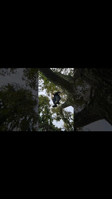 Ronnie Tree Stunts does a front flip