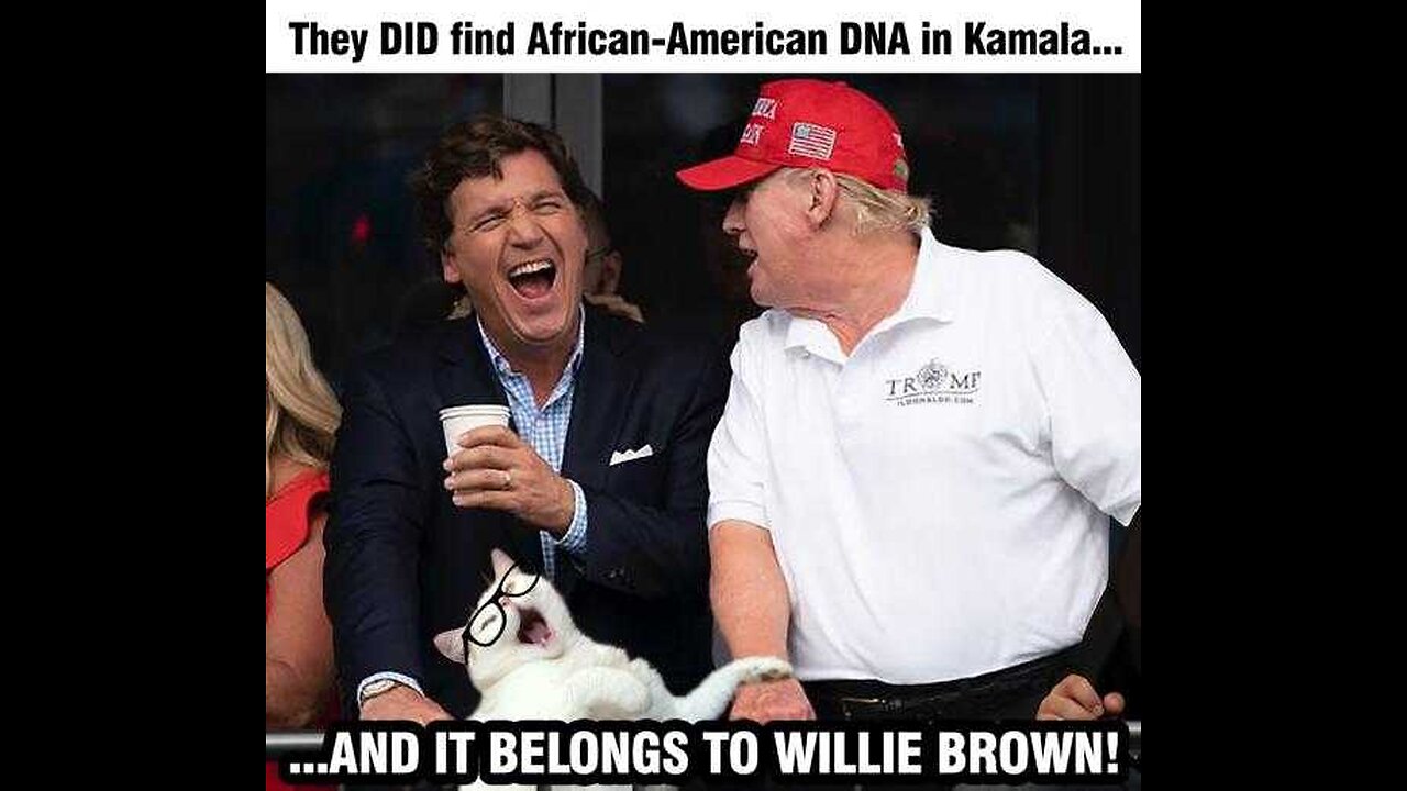 democrat cult klan Kamala LOST IT YELLED At Journalist Calling Him The N WORD Using Her BLACK Accent