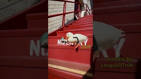 Cool animation