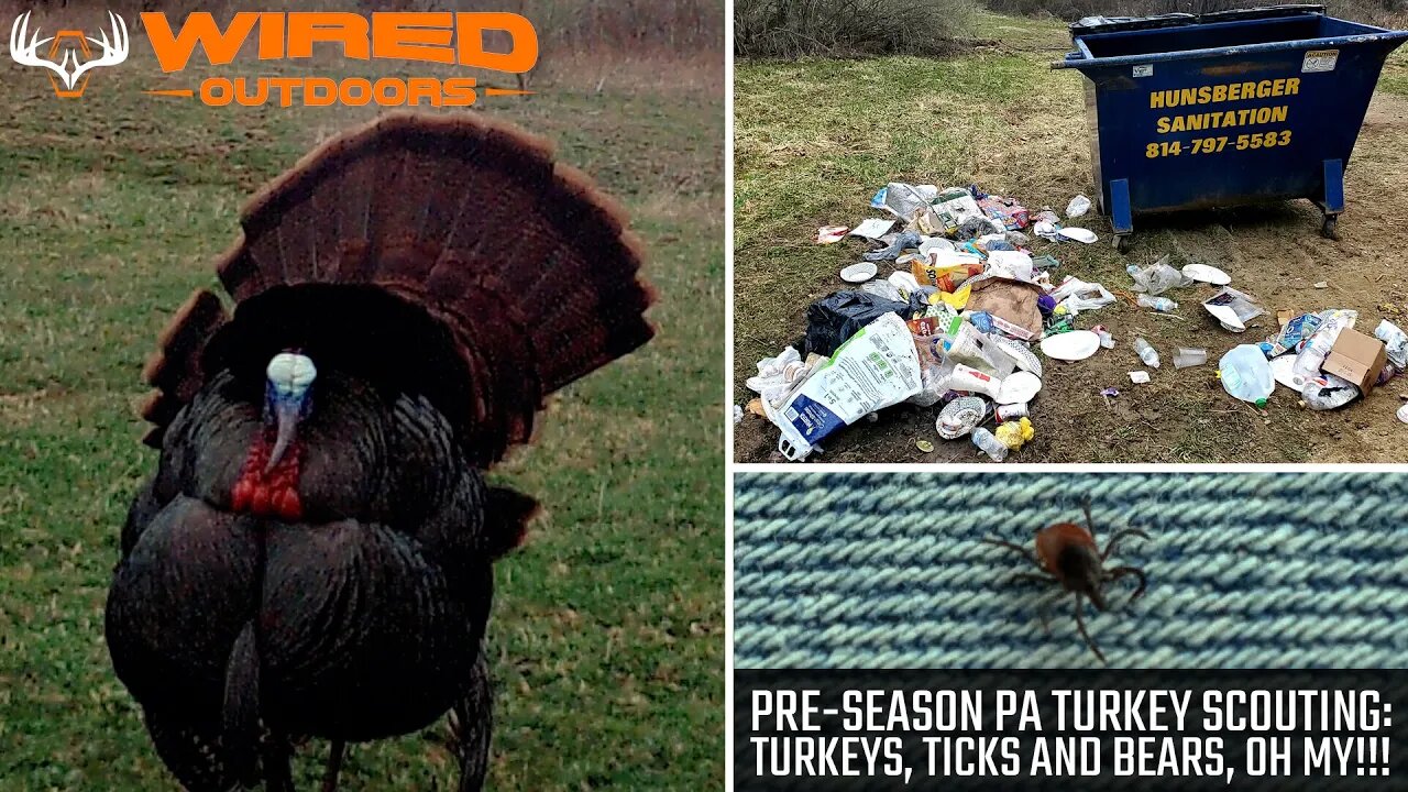 Pre-Season PA Turkey Scouting - Turkeys, Ticks and Bears, Oh My!!!