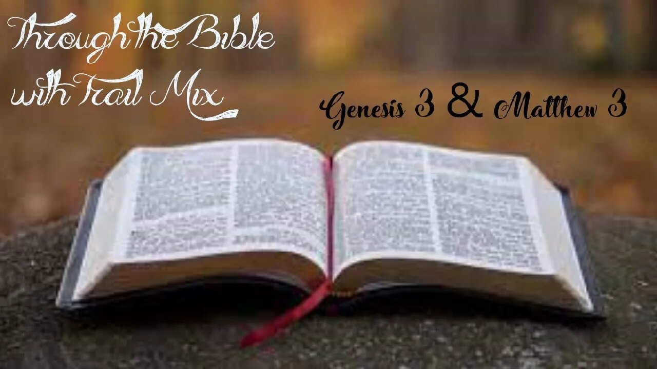 Through the Bible with Trail Mix 3