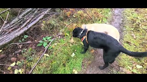 playing in the mountains Lilly Mahniley and Maggie May