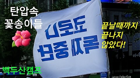 탄압속 핀 꽃송이들 BIG FLOWERS UNDER CORONA OPPRESSION