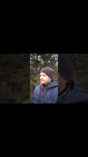 Remains of the Siberian winter