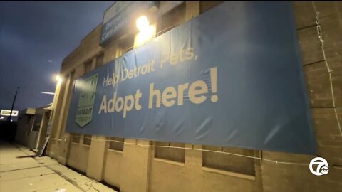 Detroit Animal Care and Control needs new pet doctor