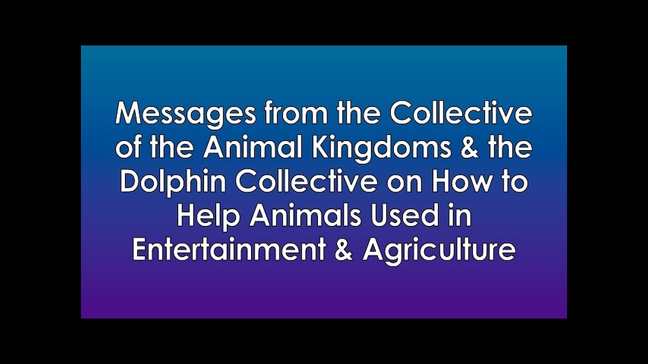 Messages from The Collective Of The Animal Kingdoms & The Dolphin Collective