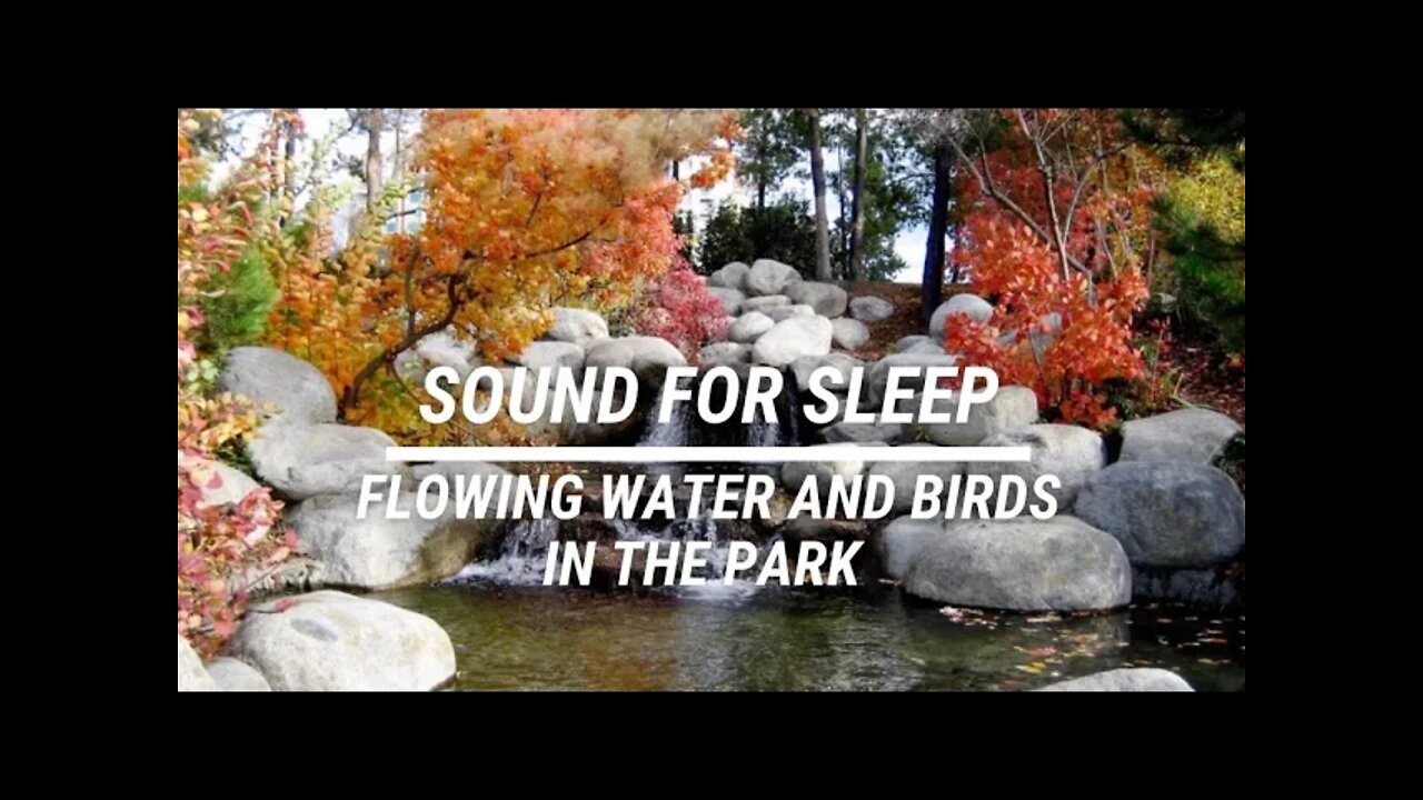 Sound for sleep Flowing Water and Birds in the Park 3 hours