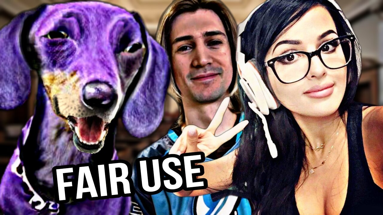 FAIR USE DOESN'T APPLY TO SSSNIPERWOLF