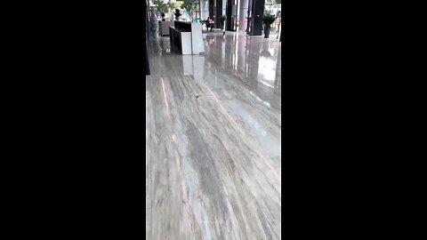 funny animal video 😂😂😂😂😂😂