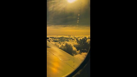 🐪 day as smooth as #Jazz. 😎✈️