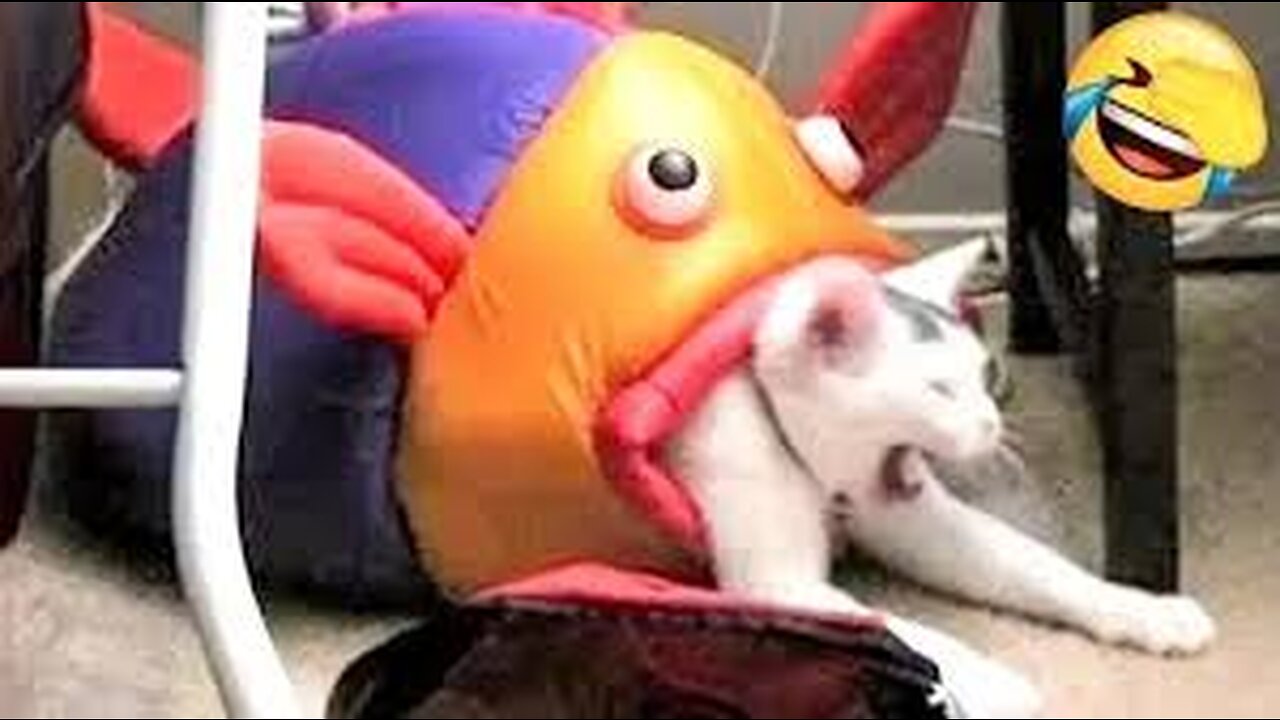 Funny Animals Video😂 - Best Dogs and Cats Video - 2023 #part 7