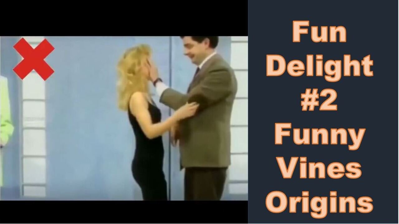Fun Delight #2 Funny Vines Origins
