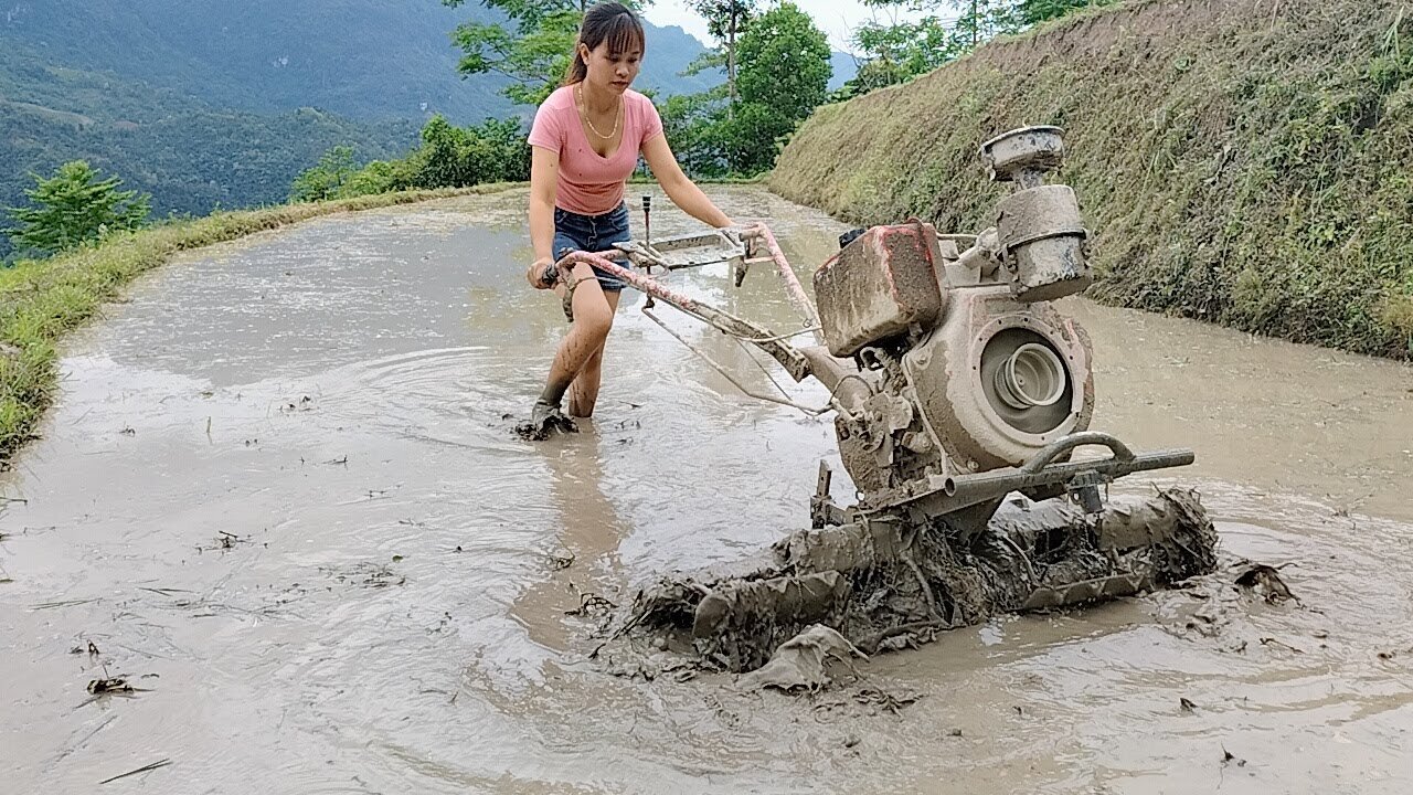 Asian Girl Driving Agrimotor Plowing Fields In The Mountains