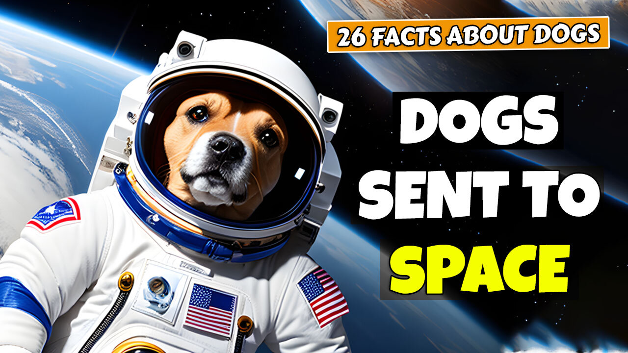 26 Incredible Facts About Dogs | Dogs Sent to Space | Dogs Can Dream