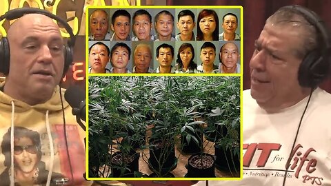 Large Scale Chinese Grow Ops In America | Joe Rogan & Joey Diaz