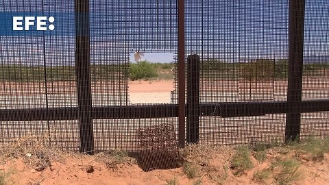 Récord de 165 migrantes muertos en frontera México-EE.UU. en lo que va del 2024