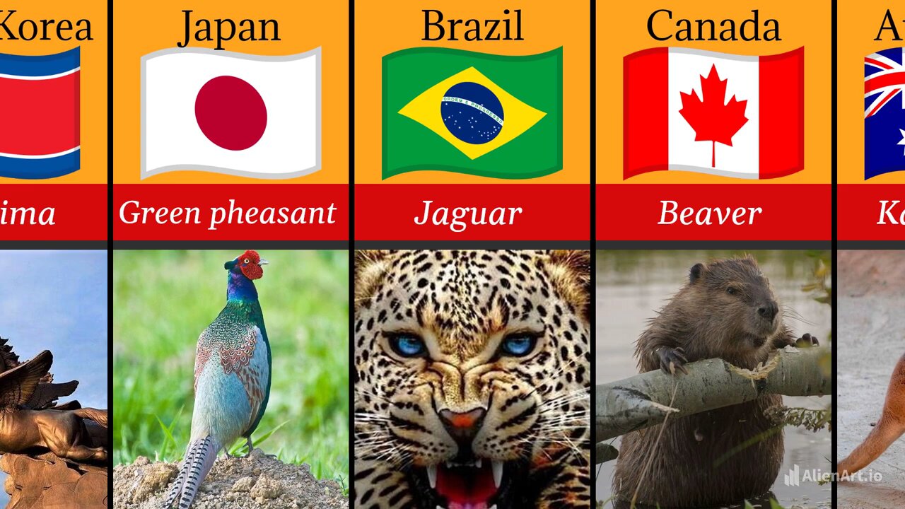 Comparison video: "National animals of prominent countries in the world 🌎