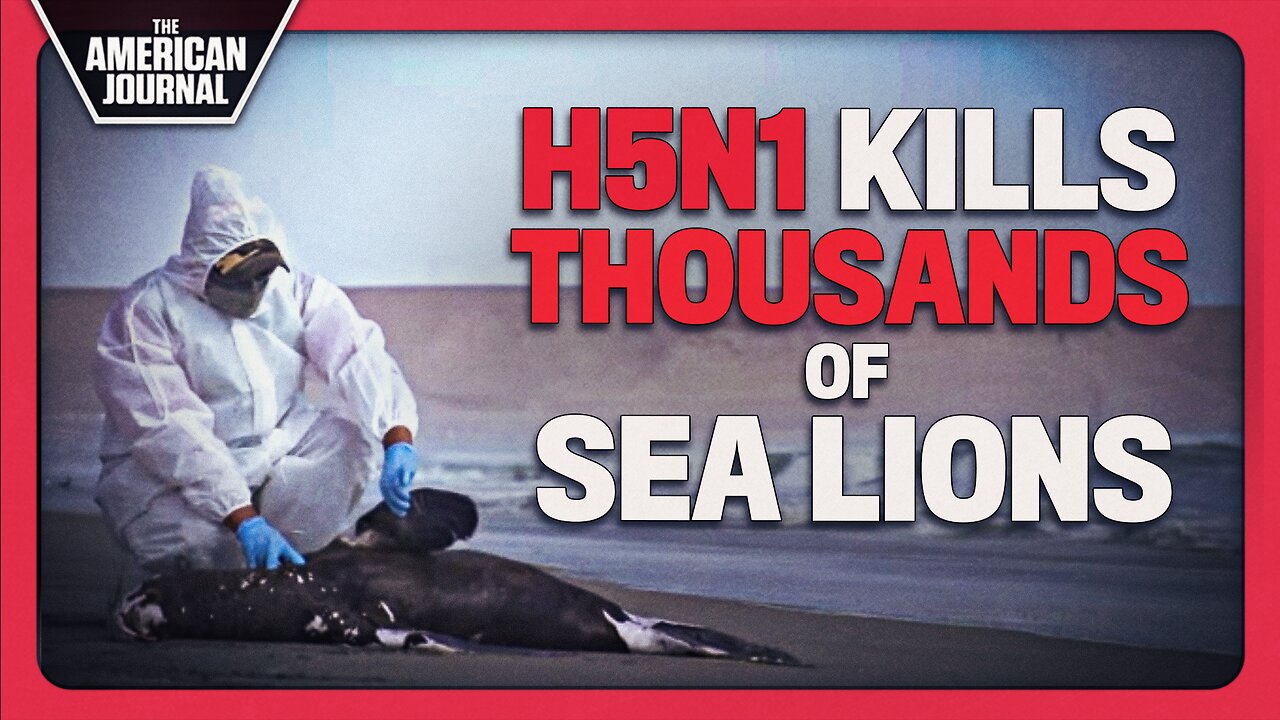 Potential Bioweapon H5-N1 Outbreak Kills Thousands Of Sea Lions In Peru