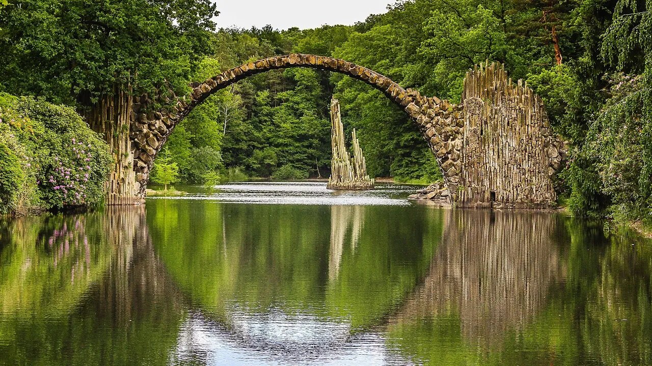 Green forest river. Sounds of water. Sounds of nature.